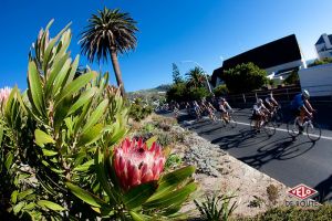 gallery Cape Argus Cycle Tour 2012 : on y était !