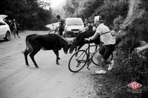 gallery Les images du photoshooting Rapha en Corse et en Australie