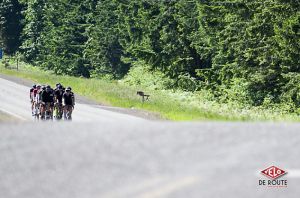 gallery Rapha Continental fête ses 5 ans