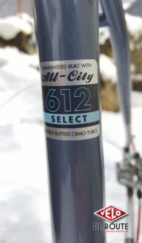 gallery Test : All City Nature Boy Disc / Le charme de la simplicité