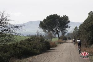 gallery PEdALED nouvelle collection printemps/été 2016