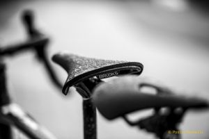 gallery Essai selle : Cambium C13 / le renouveau