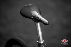 gallery Essai  : Selle Tune Komm Vor