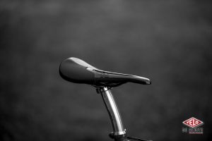 gallery Essai  : Selle Tune Komm Vor