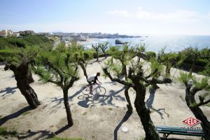 gallery Portfolio : pignon fixe à Biarritz