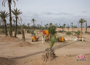 gallery Découverte : le Maroc à la sauce Canyon