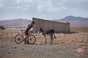 gallery Découverte : le Maroc à la sauce Canyon