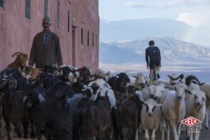 gallery Découverte : le Maroc à la sauce Canyon