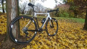 gallery Le Norco Threshold SL de Yannick