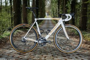 gallery Tribute to Tom Boonen, le cannibal de Paris-Roubaix