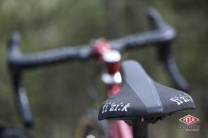 gallery Essai : Selles Fizik Large vs Standard ?