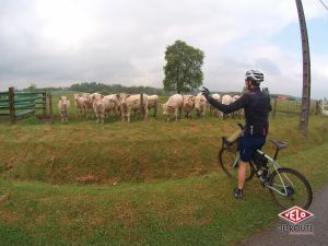 gallery Aventure Londres-Paris à vélo : Étapes 5 et 6