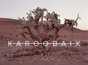 gallery Gravel : La Karoobaix--Mis à Jour
