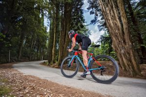 gallery Wilier Cento10NDR - Endurance Bike 2.0