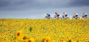 gallery Best-of Tour de France par Strava