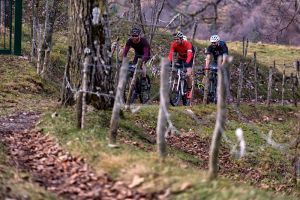 gallery 3T présente le Jeroboam Bike Festival