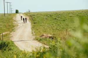 gallery Kona Libre : le gravel en version carbonisé