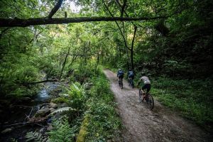 gallery Nouveau Gravel Cannondale Topstone