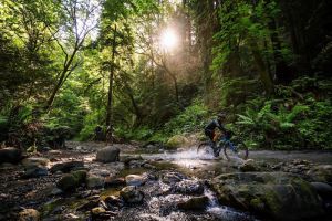 gallery Nouveau Gravel Cannondale Topstone