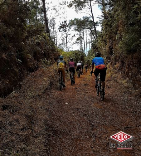 gallery Un cocktail savoureux : une petite touche de Madère dans mon gravel