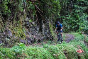 gallery Un cocktail savoureux : une petite touche de Madère dans mon gravel