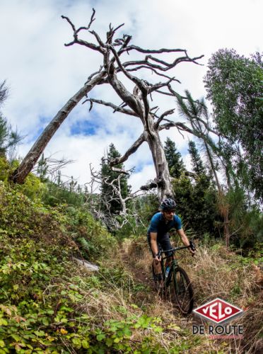 gallery Un cocktail savoureux : une petite touche de Madère dans mon gravel