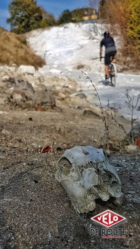 gallery Essai de longue durée : un vélo pour tout faire ?