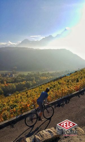 gallery Essai de longue durée : un vélo pour tout faire ?