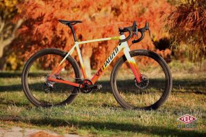 gallery Roval C 38 Disc : l&#39;accès au carbone