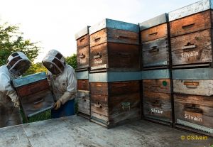 gallery L&#39;Endurante, de la confiserie au Mont-Ventoux