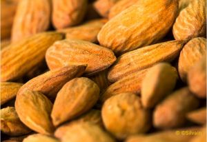 gallery L&#39;Endurante, de la confiserie au Mont-Ventoux