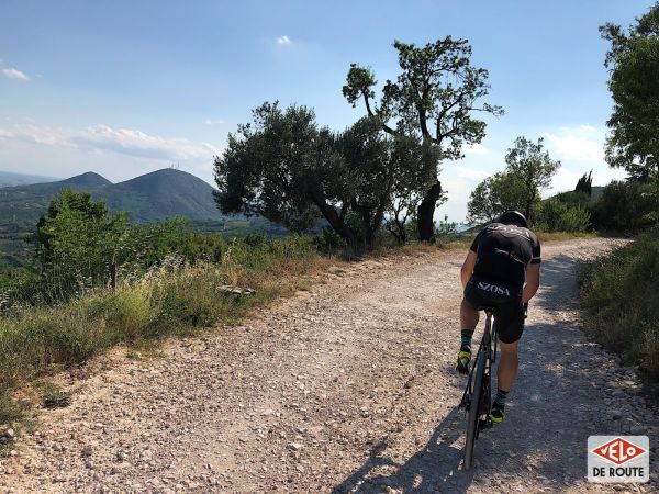 gallery Trek Domane SL et SLR, plus polyvalent que jamais