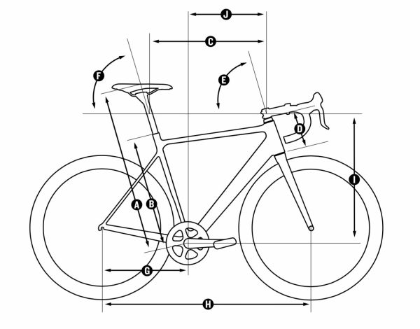 gallery Canyon Endurace WMN CF SL Disc 8.0 Di2 : madame est servie