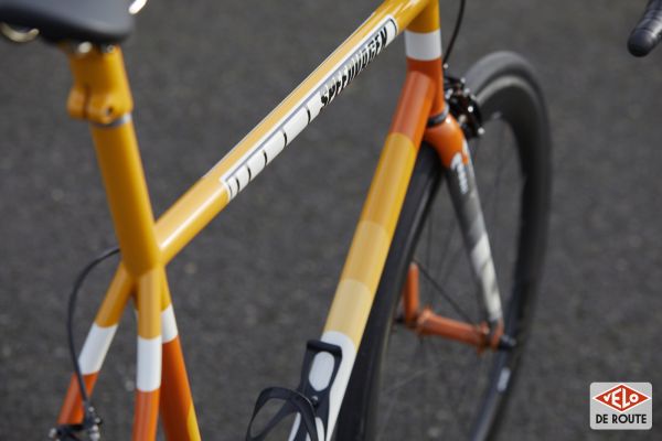 gallery Bikecheck : Speedvagen Surprise Me 2020