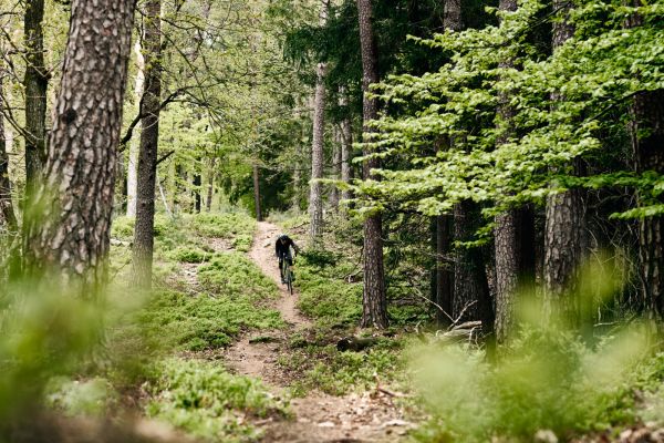 gallery Vélo Vert Festival : rendez-vous du 25 au 27 septembre !