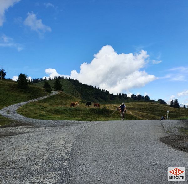 gallery Châtel Chablais Léman Race : l’épreuve gravel vue de l’intérieur