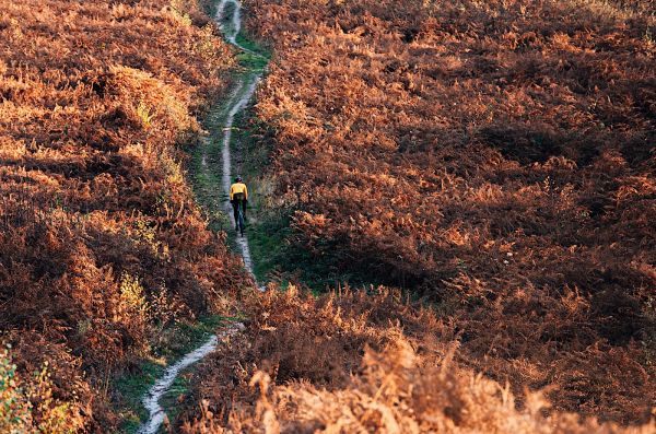 gallery Et BAAM une nouvelle marque de Gravel est née