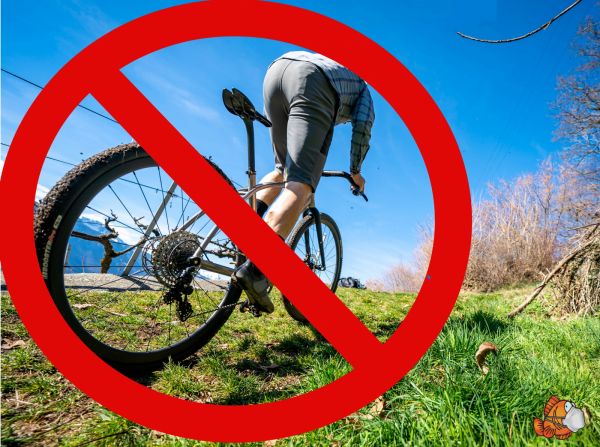 gallery Vélo de Route mise sur la fée électricité !