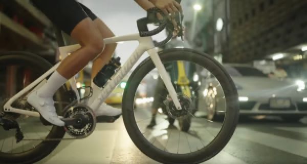 gallery Vidéo : Fizik Decos