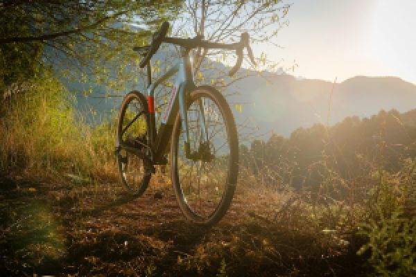 gallery Mondraker Dusty : born for dust