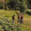 Rendez-vous de la Fédération Française de Cyclotourisme, des reports et des annulations