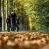 Une forêt belge et le vélo idéal pour y rouler : le  Specialized Crux 2022