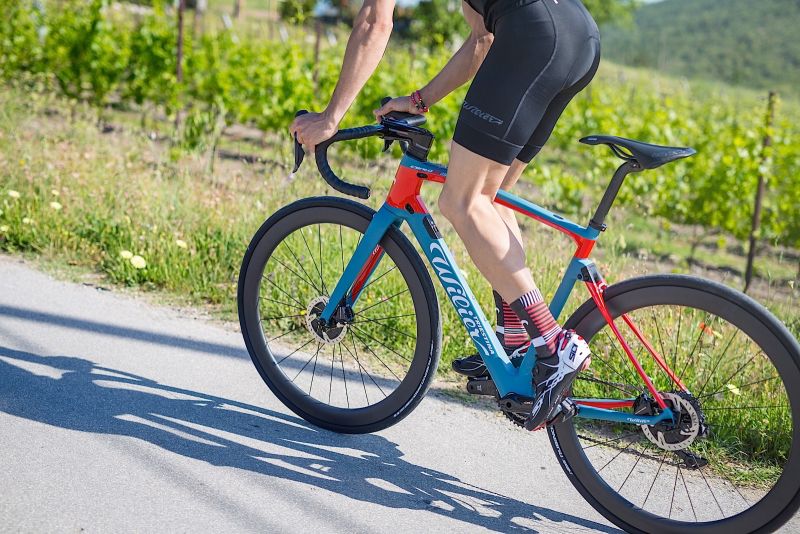 Wilier endurance bike shop 2020